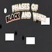 Phases of Black and White